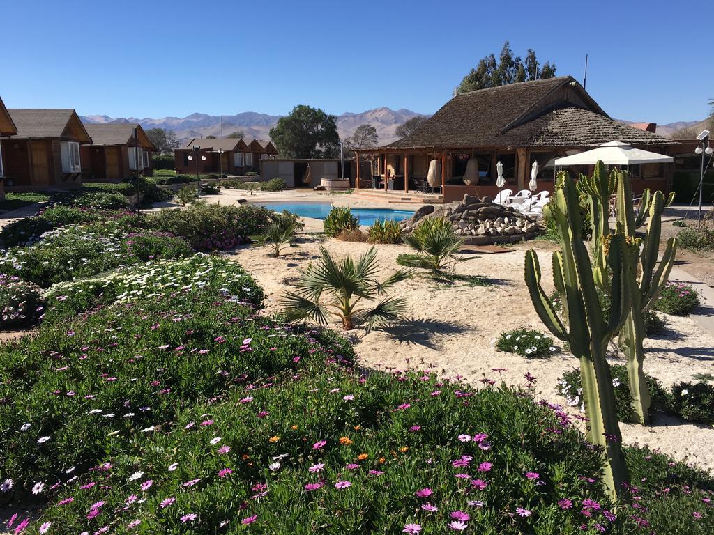 Hotel El Bramador Copiapó Eksteriør billede